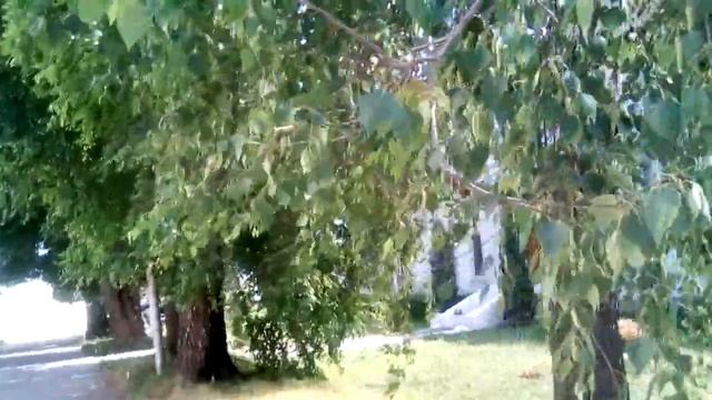 Рязань. Спасо-Преображенский мужской манастырь