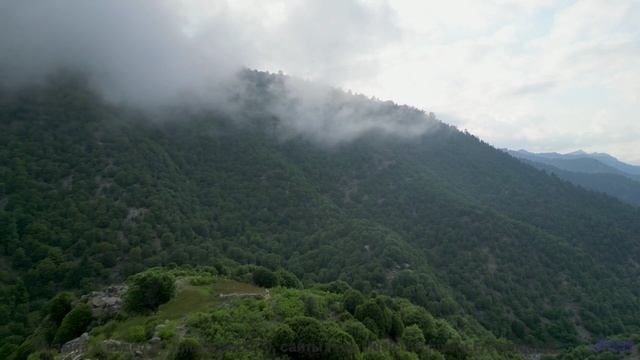 Ты не поймешь, как жил без этого раньше! - Fly Down the Mountain, Sink into the Sky -- Ayla Nereo --