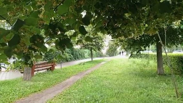 #Тамбов #Парк