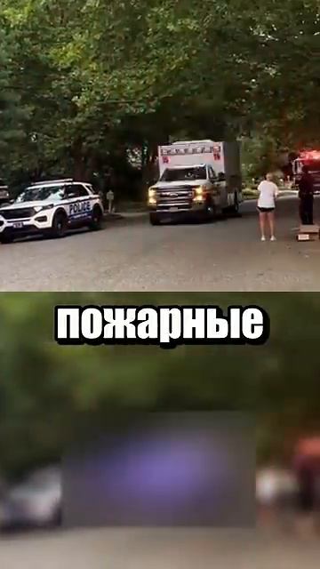 i11ushenka (272)
