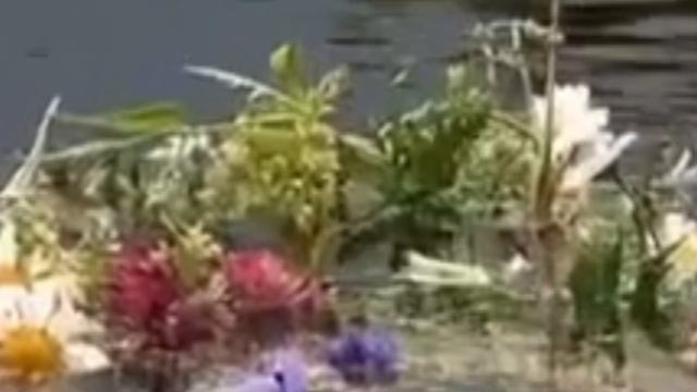 экспрес сеанс снятие ограничений