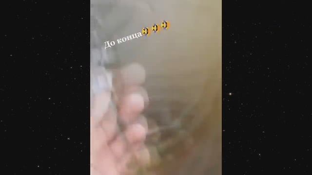юмор 🤪
