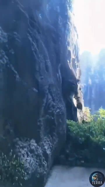 ⛰️ В 1999 году в Китае было принято решение построить подъёмник Bailong Elevator