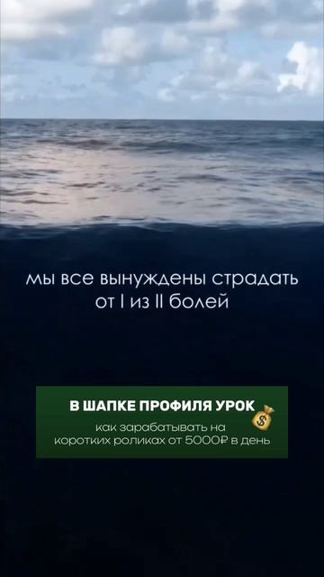 Боль дисциплины или боль сожаления - выбирай.