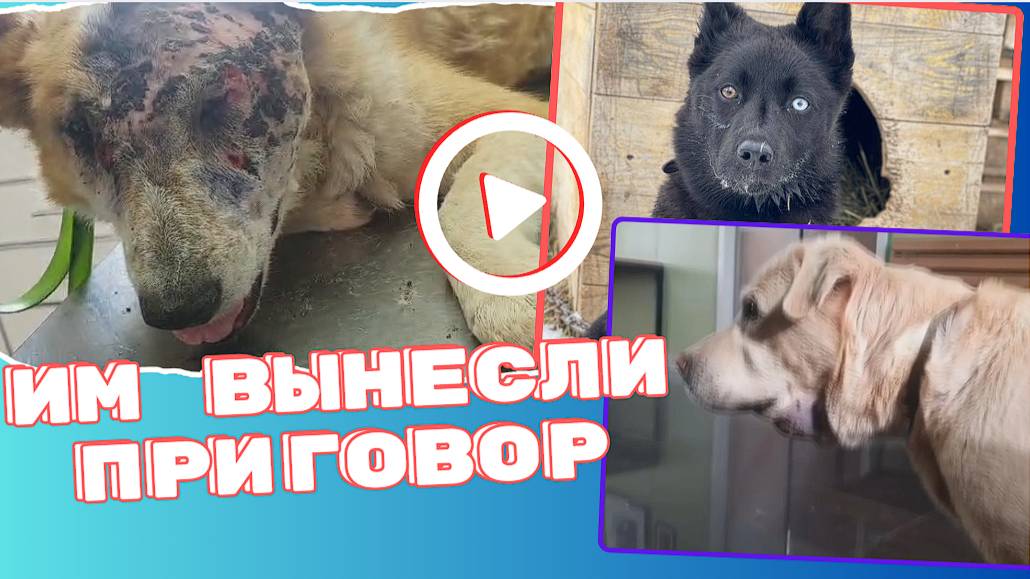 Им вынесли приговор