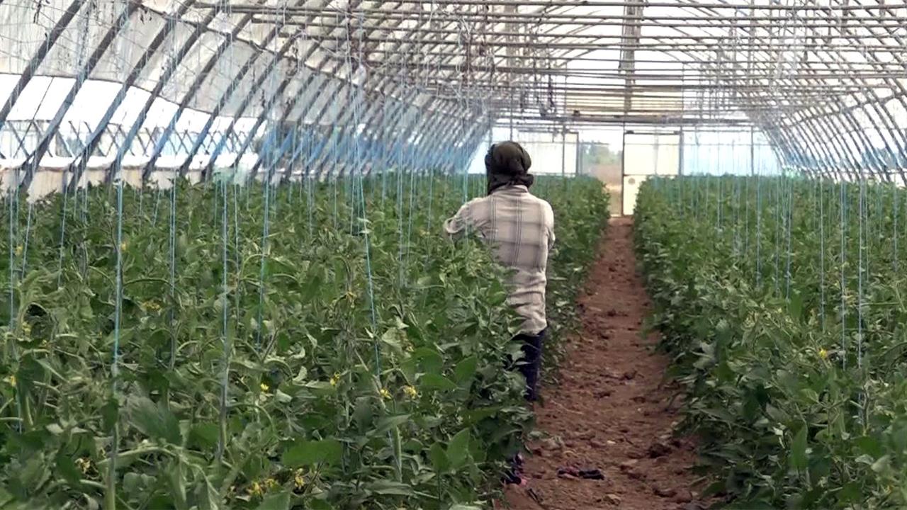 В правительстве обсудили предварительные итоги посевной кампании