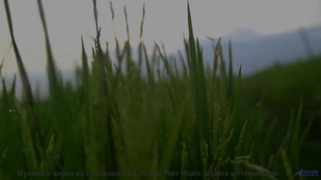 Песня, которая звучит громче, когда вы теряетесь вместе - Trace da Funk feat Grafezzy -- Ketsa -- As