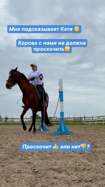 Видео 3: Корова с нами не должна проскочить!