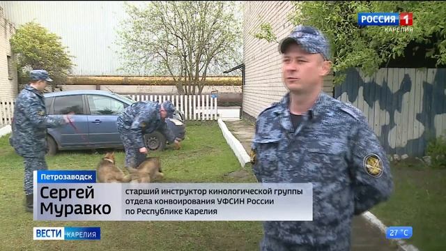 ГТРК Карелия -У специалистов кинологов в УФСИН Карелии новые напарники