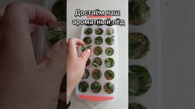 Чай из мелиссы и чабреца на зиму