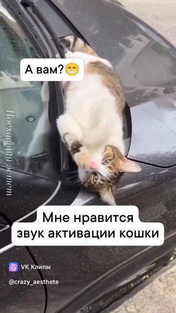 1000046467.mp4