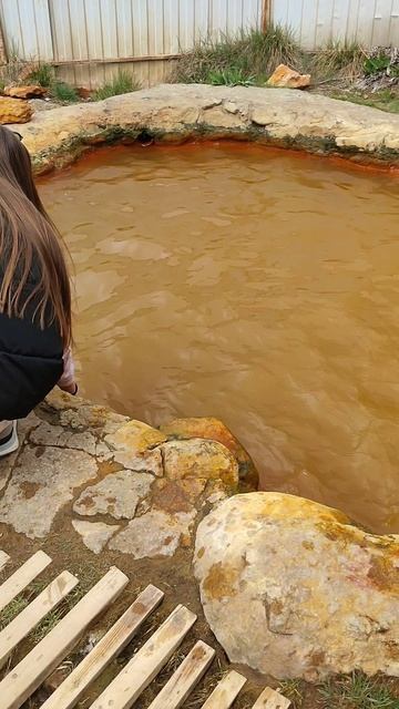 Кабардино-Балкарская Республика,Джилы-Су, горячие источники🏊 #горячиеисточники #путешествияпороссии