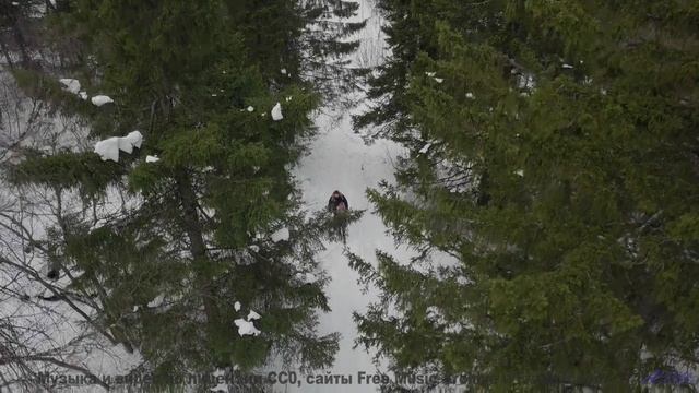 Видео, созданное нейросетью - отличите ли вы его от реальности - Tell Me You Know -- Eyelids -- Live