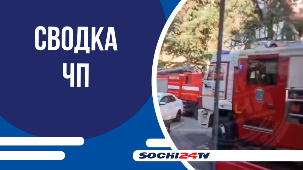 Иномарка сбила женщину на пешеходном переходе