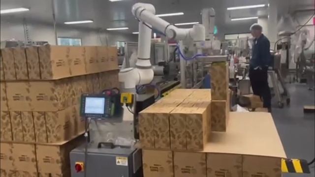 Робот-манипулятор для упаковки готовой продукции в коробки