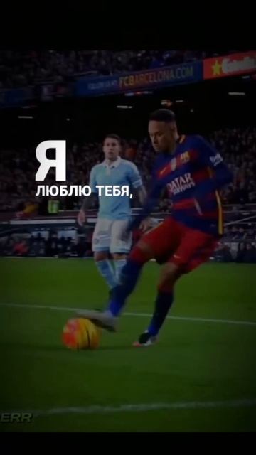1000003931.mp4