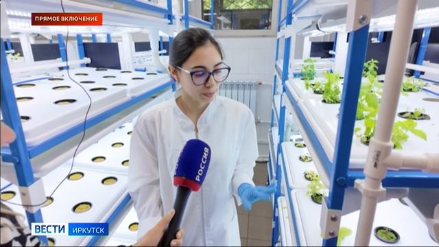 В лаборатории Ботанического сада Иркутского госуниверситета разрабатывают технологии выращивания