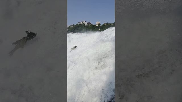 Рейнский водопад!
Rheinfall 😉