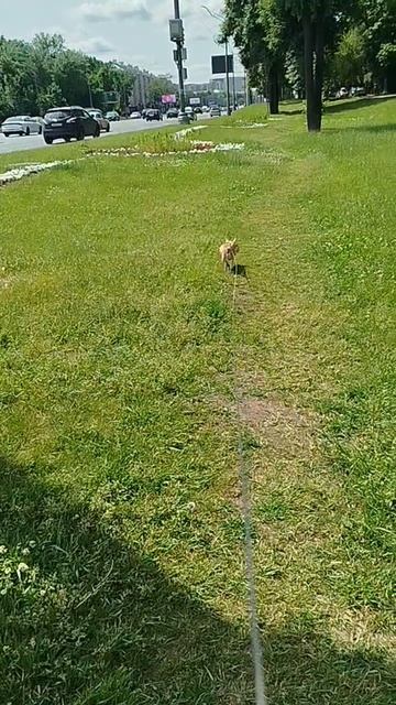 Сеня уже все собрал 😁