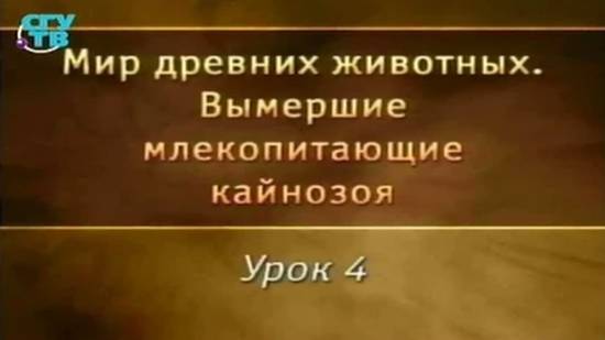 Вымершие млекопитающие # 4. Ранние плацентарные млекопитающие