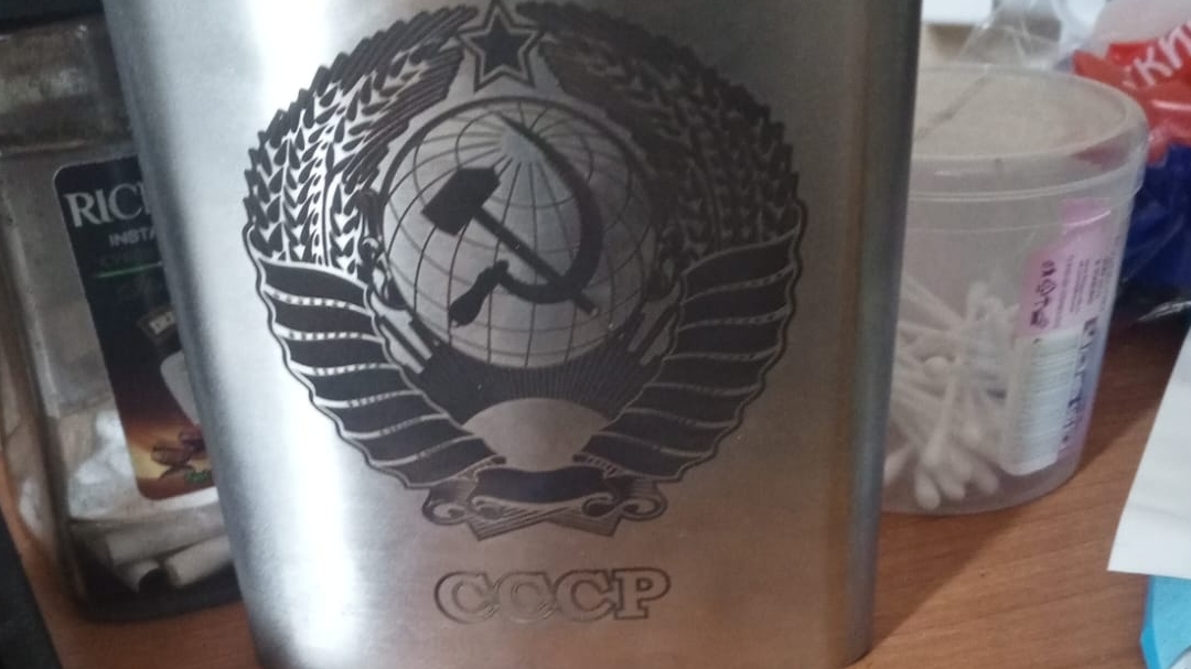 наглые животные