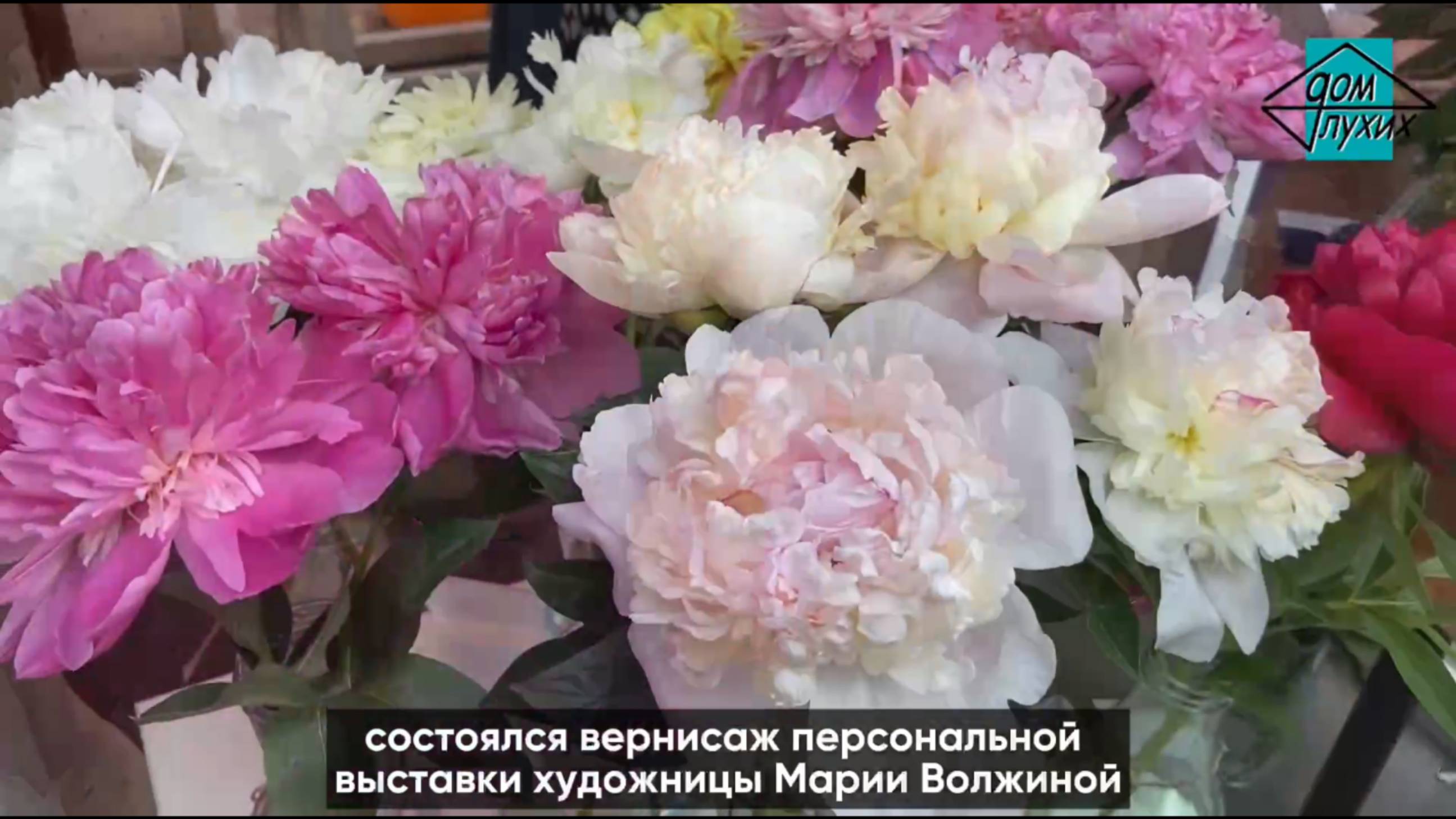 «Цветочная поэзия» в Липецке