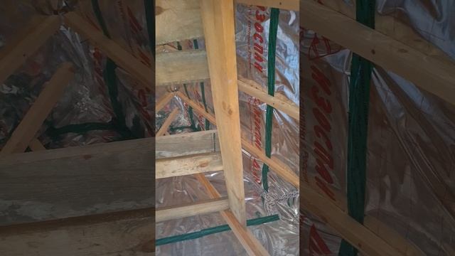 1000025961.mp4 (Собака следит за планированием приточно-вытяжной вентиляции в доме А-фрейм)