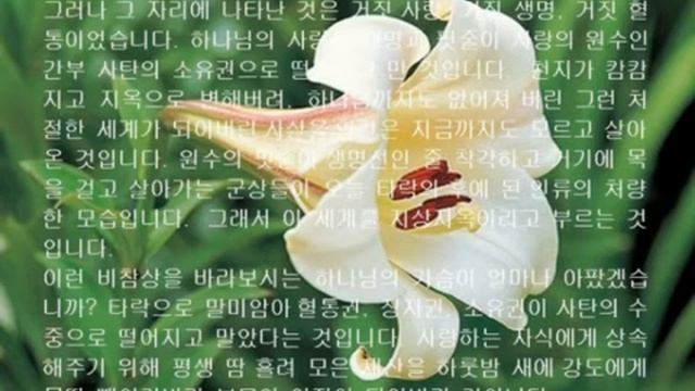 평화신경(平和神經) - 7. 하나님의 이상가정과 평화이상세계왕국 2 (True Father)