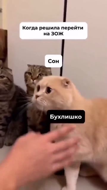 Так всегда
