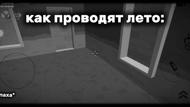 жиза либо мем
