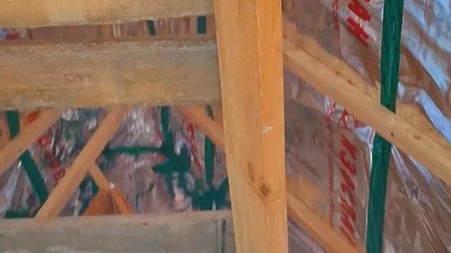 1000025991.mp4 (Собака следит за планированием приточно-вытяжной вентиляции в доме А-фрейм)