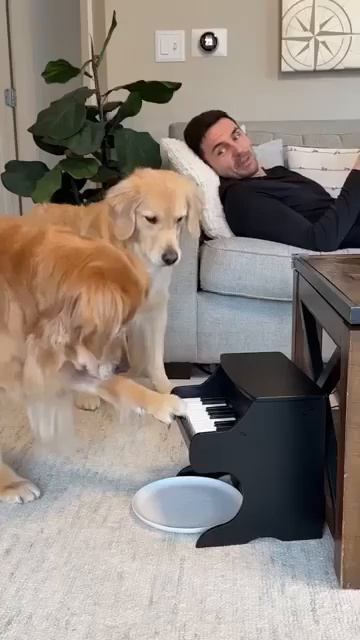 Собакен научился добывать себе еду 😋🐶😍😉