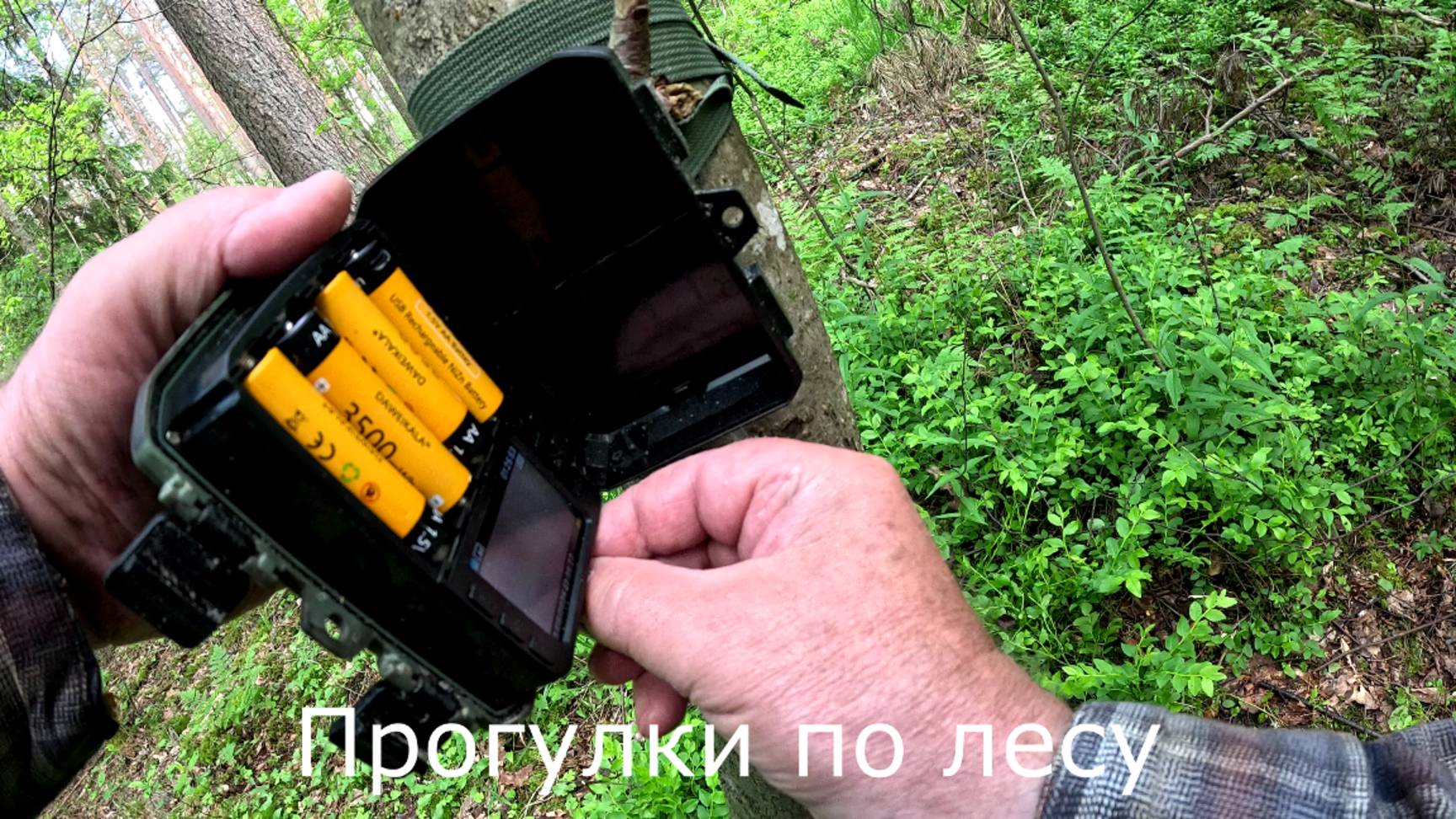 Прогулки по лесу.  Установил фотоловушку, куда планировал.