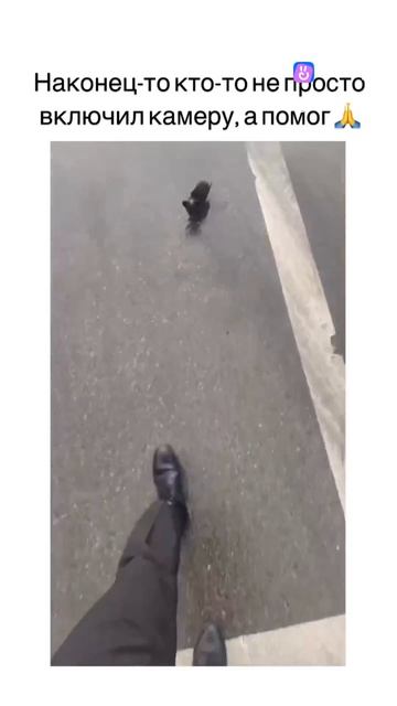 ss