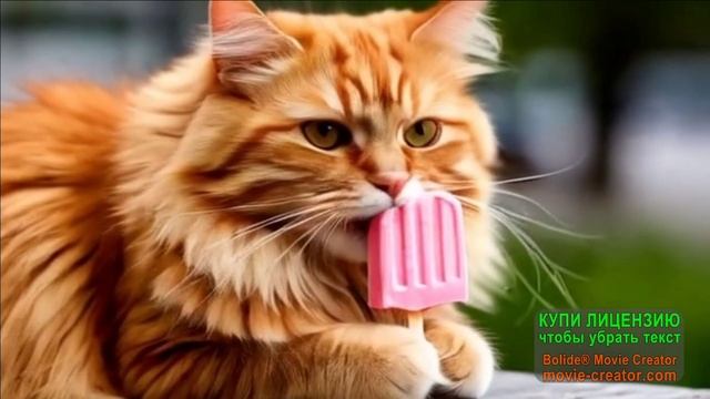 10 ИЮНЯ.ВСЕМИРНЫЙ ДЕНЬ МОРОЖЕНОГО! МУЗЫКАЛЬНОЕ ПОЗДРАВЛЕНИЕ
