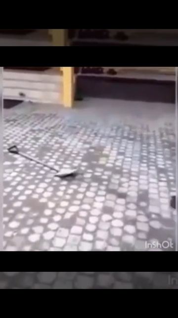 не перестаëт