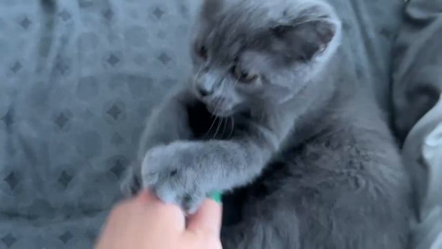 Всем привет, немножко пропал и вот он я вернулся)