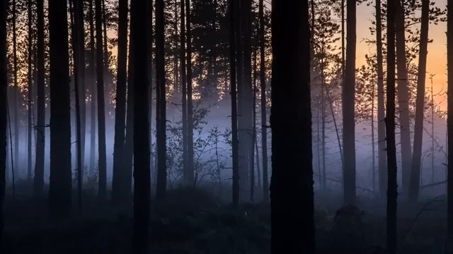 Вечерние сумерки под успокаивающую музыку души часть 6