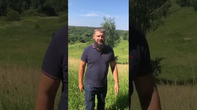 Отзыв Сергея Гоменюка о работе А. Захаревича