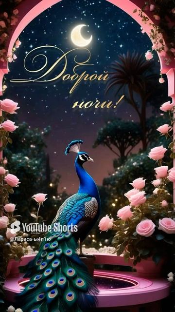 Доброй ночи!