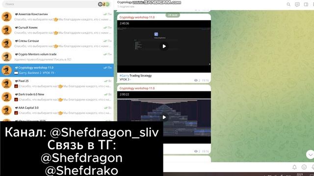 Workshop 11.0 от Cryptology — Полный 2025 года