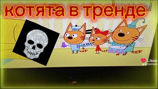 котята в тренде