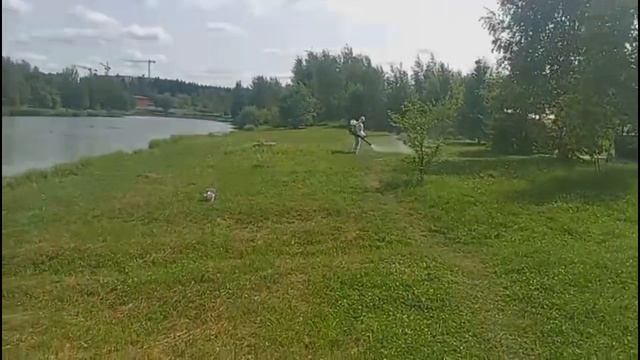 Обработка берегов 10.06.2025г.
