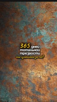 365 дней тотальной трезвости. Что изменилось за год?