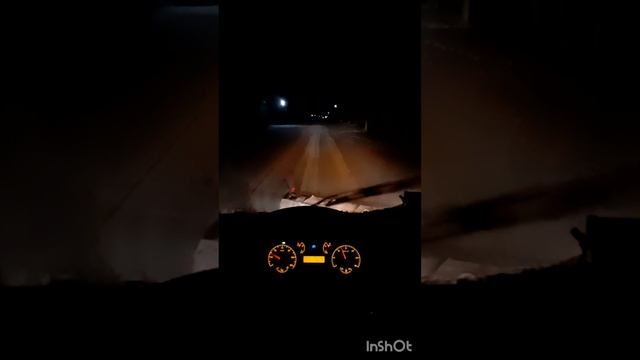 ночная движуха