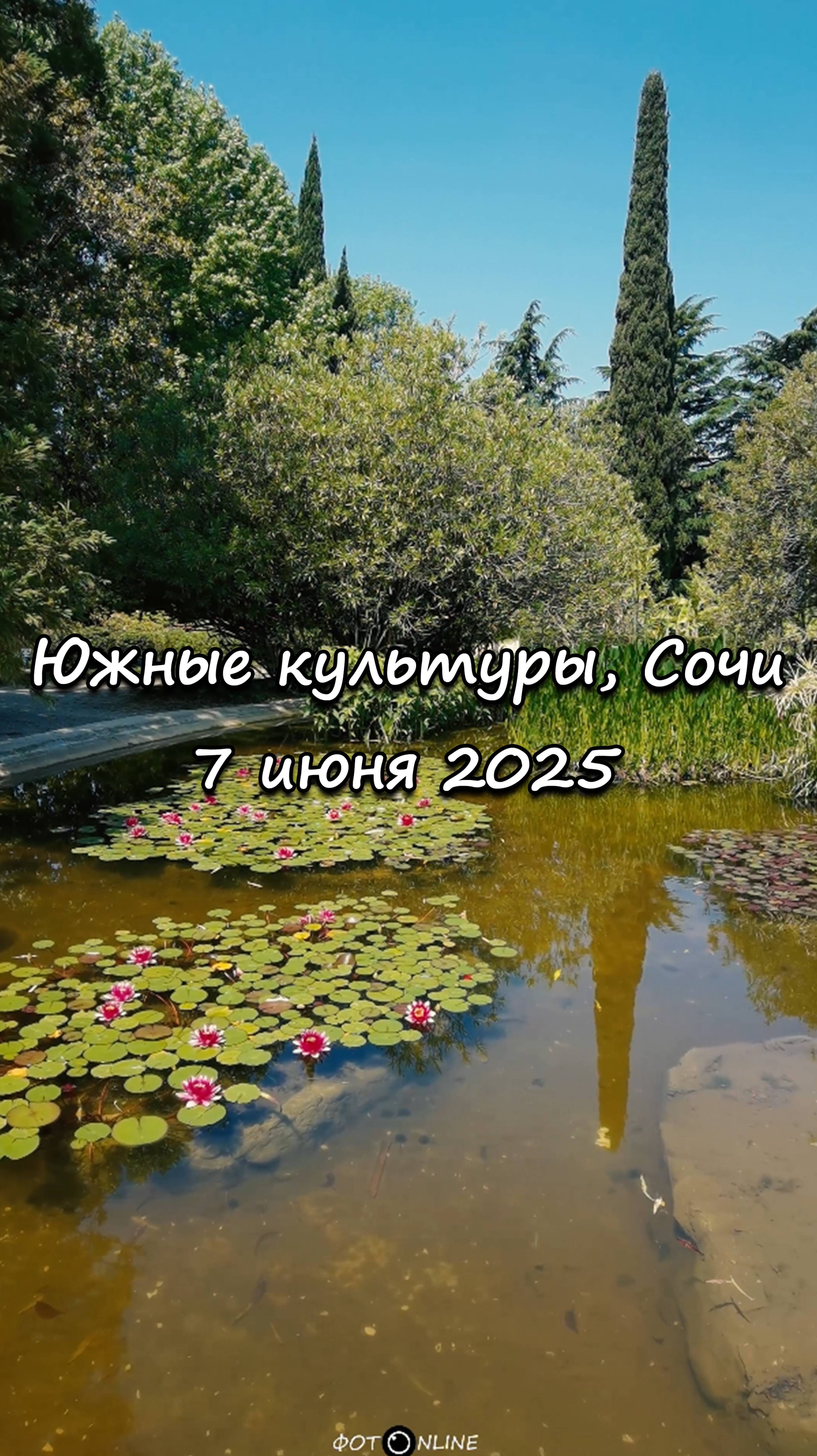 Парк Южные культуры, Сириус, Сочи. 7 июня 2025