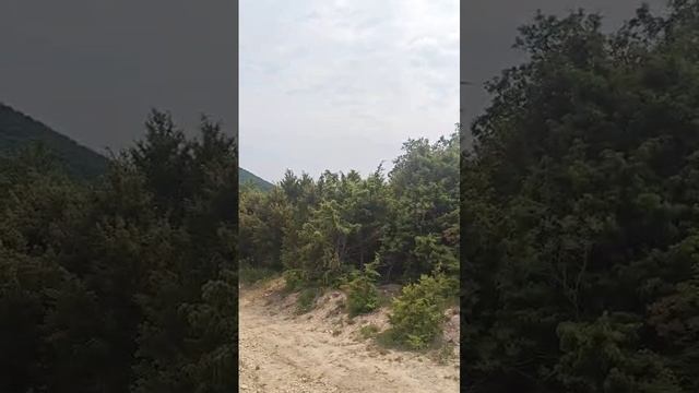 июнь 25г.,  ИЖС 7 сот, Федотовка ул. Виноградная.mp4