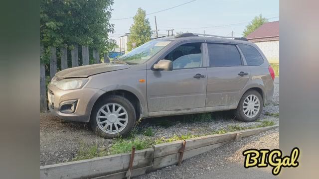 Калина в строю