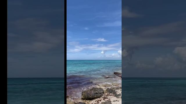 Я тоже блуждала во мраке