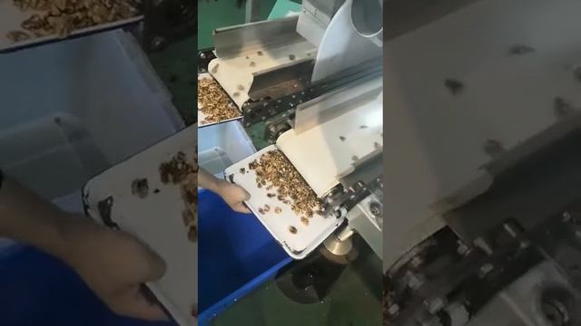 Сортировка грецкого ореха по цвету L4